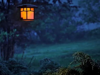 Connecting With Your Nature