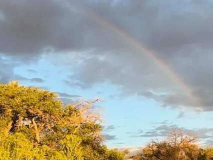Connecting With Your Pet Over The Rainbow Bridge
