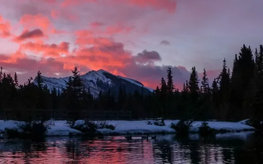 Connecting With Your Present Moment Experience