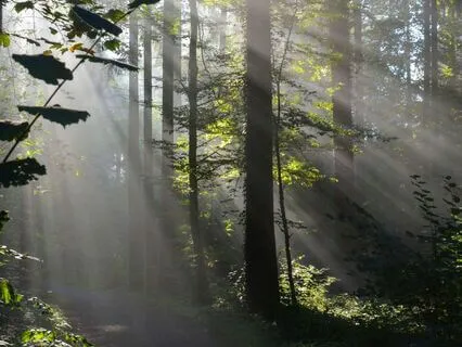 Connecting With Your Spirit Guides