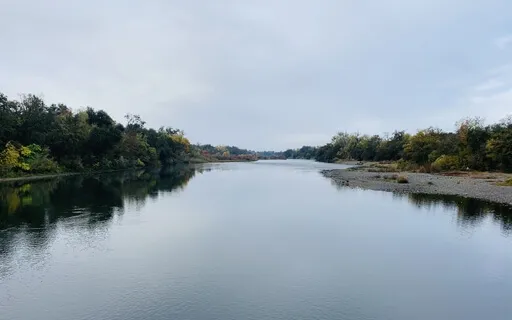 Connecting With Your Whole Being Meditation