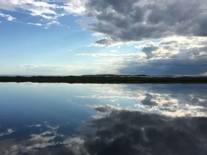 Connecting Within After Trauma