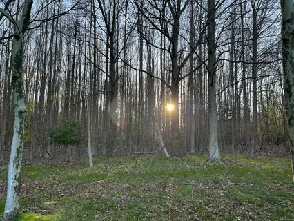 Connecting Your Body And Soul With Joy And Peace