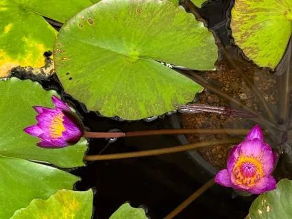 Connecting Your Inner And Outer Awareness