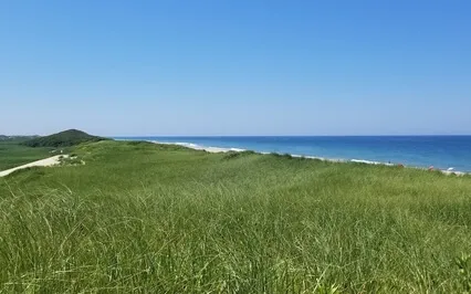 Connection And Integration Of Parts Within Ourselves