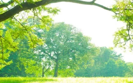 Connection: Exploring The Breath In 3 Dimensions