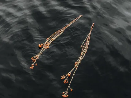 Connection In Isolation