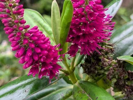 Connection | Mindful Motivation