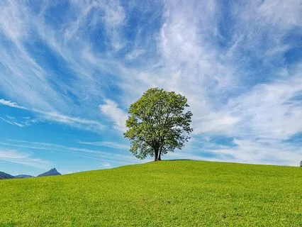 Connection To Heart, Earth, And Source