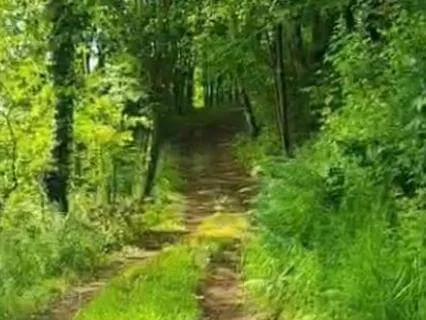 Connection To Nature So To Yourself