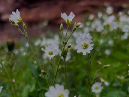 Connection To Spirit For Improvement Of Intuition