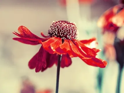 Connection To The Divine & Our Faith 