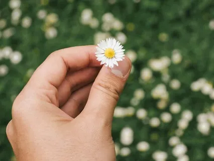 Connection To Your Healing Hands