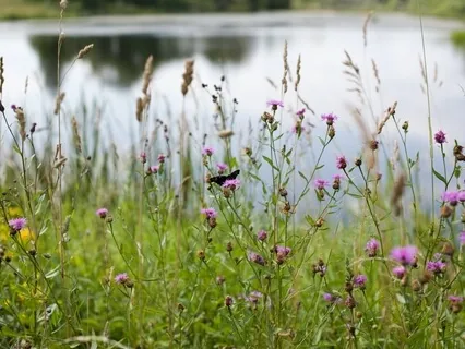 Connection To Your Inner Landscape