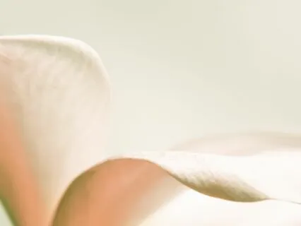 Connection To Your Truth