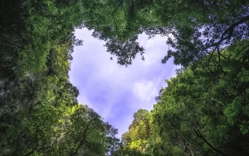 Connection With Planet Earth - The Four Elements