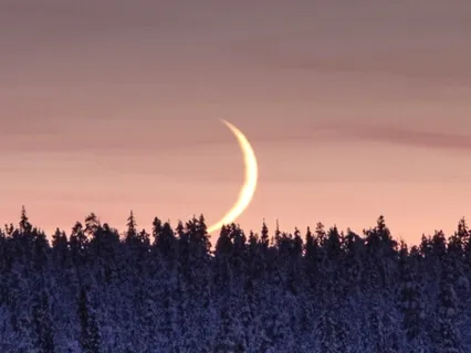 Connection With Reality