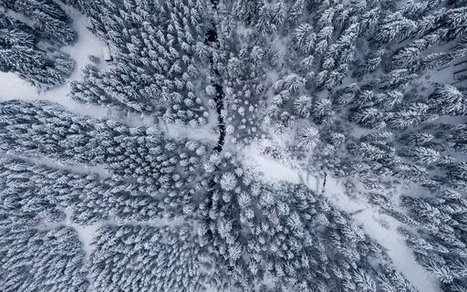 Connection With The Ancestral Plane (432Hz)