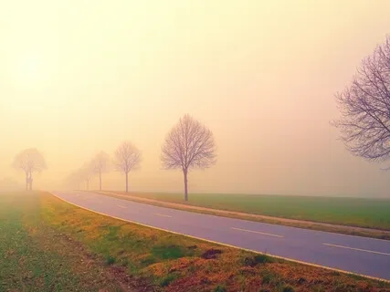 Connection With The Ancestral Plane (528Hz)