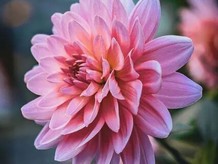 Conquer Family-Time Triggers Activation