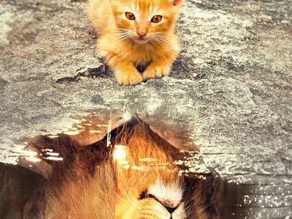 Conquer The Inner Critic