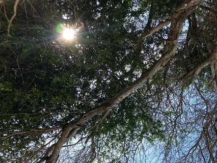 Conquering Fear By Cuchira