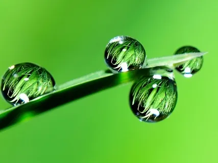 Conquering Hypertension