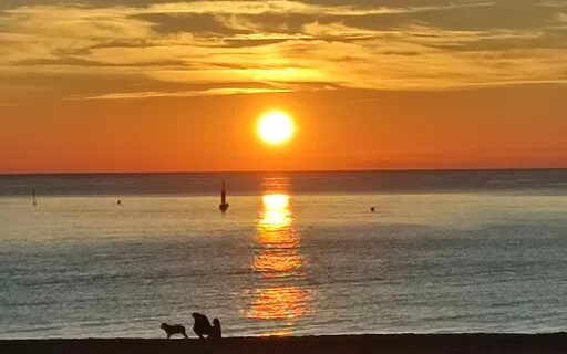 Consciència, Concentració i Expansió