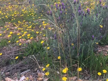 Consciência Corporal
