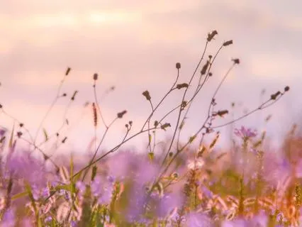 Conscious Aging II: Grieving In A Culture Of Youth