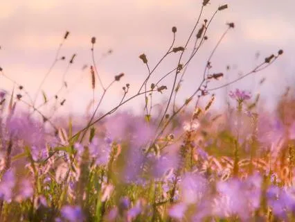 Conscious Aging II: Grieving Our Past Self