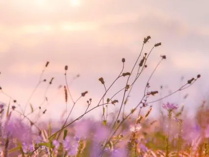 Conscious Aging II: Grieving Physical Diminishment