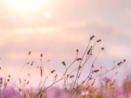 Conscious Aging II: Grieving The Narrowing Of Opportunity