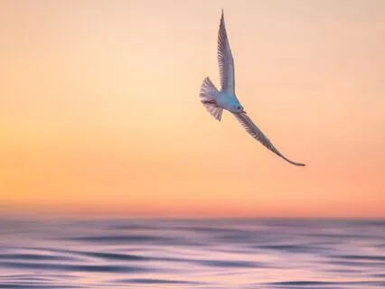 Conscious Aging: Our Physical Self