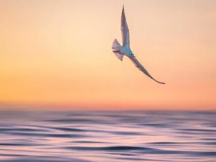 Conscious Aging: Relinquishing