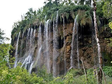 Conscious Breath For Clear Decisions