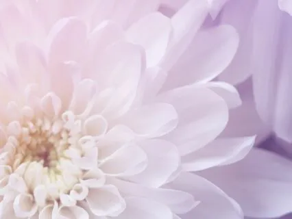 Conscious Breathing: A Brief IFS Check-In