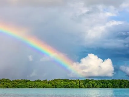 Come Home To This Moment