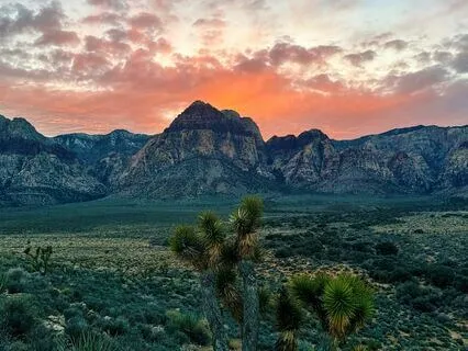 Conscious Breathing For A Clear Mind