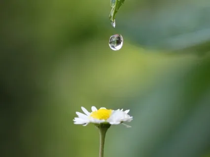 Conscious Breathing Guided Meditation