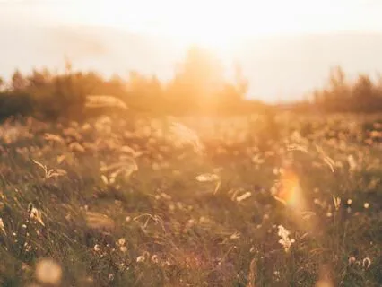 Conscious Breathing Meditation - For Beginners