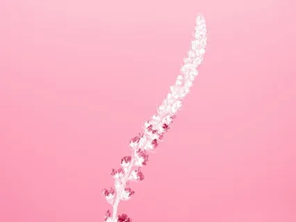 Connect With Collective Healing Energy