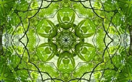 Conscious-Connected Breathing Meditation