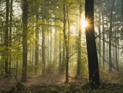 Conscious Connected Breathwork (5 Minute Practice)