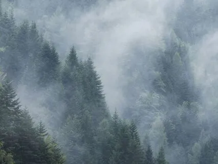 Conscious Connected Breathwork For Emotional Balance