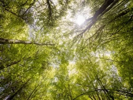 Conscious Connection, An Uplifting Piano Improvisation