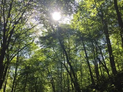 Conscious Creation Journey