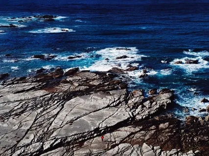 Conscious Dance: 7 Chakras And 7 Forms Of Dance Of No Name