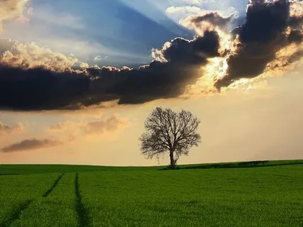 Conscious Grounded Present