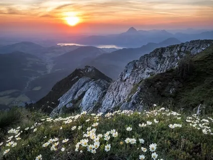 Conscious Heart 2: Expanding Awareness